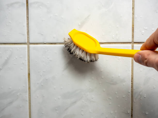 Best Mold Damage Repair  in Nederland, TX