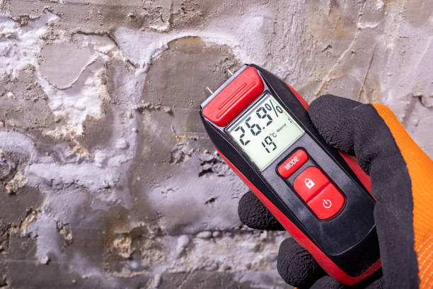 Best Water Damage Restoration  in Nederland, TX