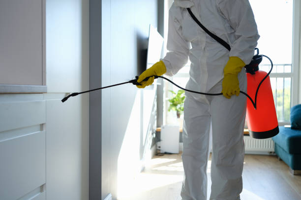 Best Mold Testing and Removal  in Nederland, TX